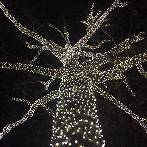 50FT 100 Pure White Mini LED String Lights - Outdoor/Indoor Connectable Christmas Lights with Green Wire - Commercial Grade for Holiday Decorations, Wedding Parties, and Home Lighting
