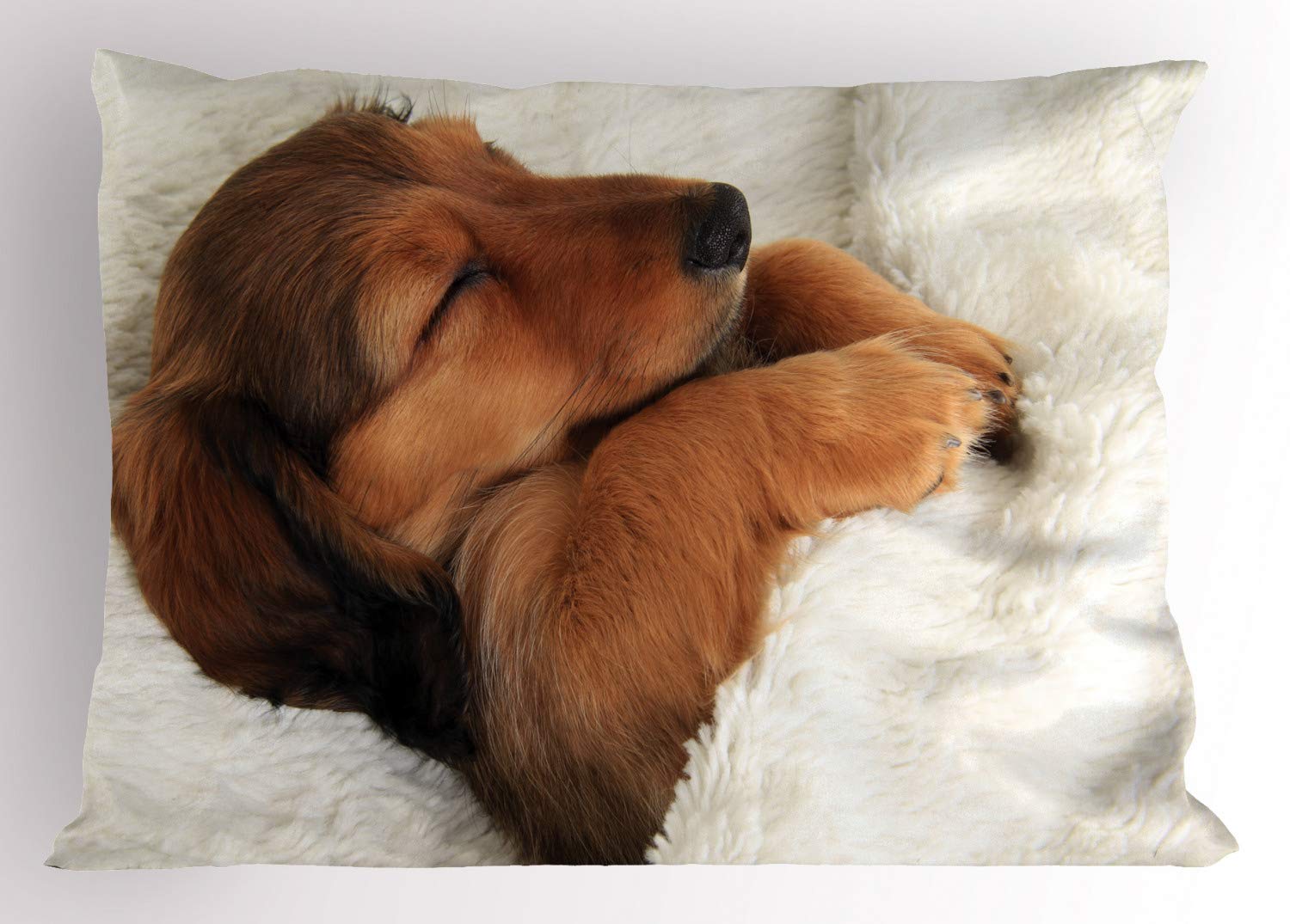 Ambesonne Dachshund Pillow Sham - Cute Puppy Sleeping in Bed Print, Decorative Standard Queen Size Pillow Cover 30x20 Inches, Ivory Pale Cinnamon & Dark Taupe Grey - Perfect for Living Room, Bedroom & Nursery Decor
