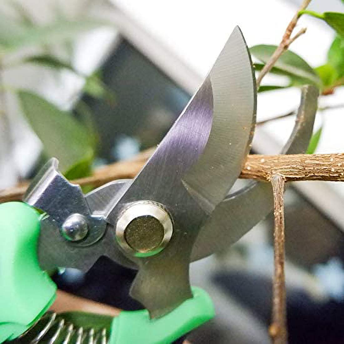 Premium Stainless Steel Garden Pruning Shears - Bypass Pruners for Branches, Twigs, Flowers & Fruit Plants - Ergonomic Design for Gentle Trimming - Perfect for Gardening, Landscaping & Outdoor Plant Care