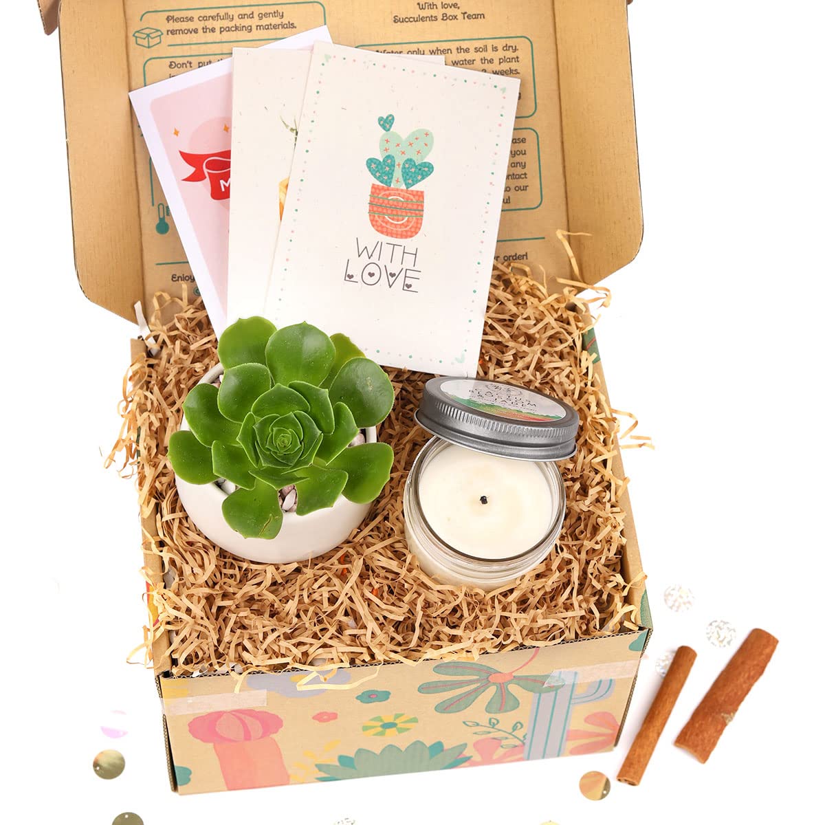 Succulent & Soy Candle Gift Box Set - Perfect Holiday Present for Him/Her - Includes Live Plant & Aromatherapy Candle with Thank You Card - Great for Birthdays, Anniversaries & Housewarming Gifts