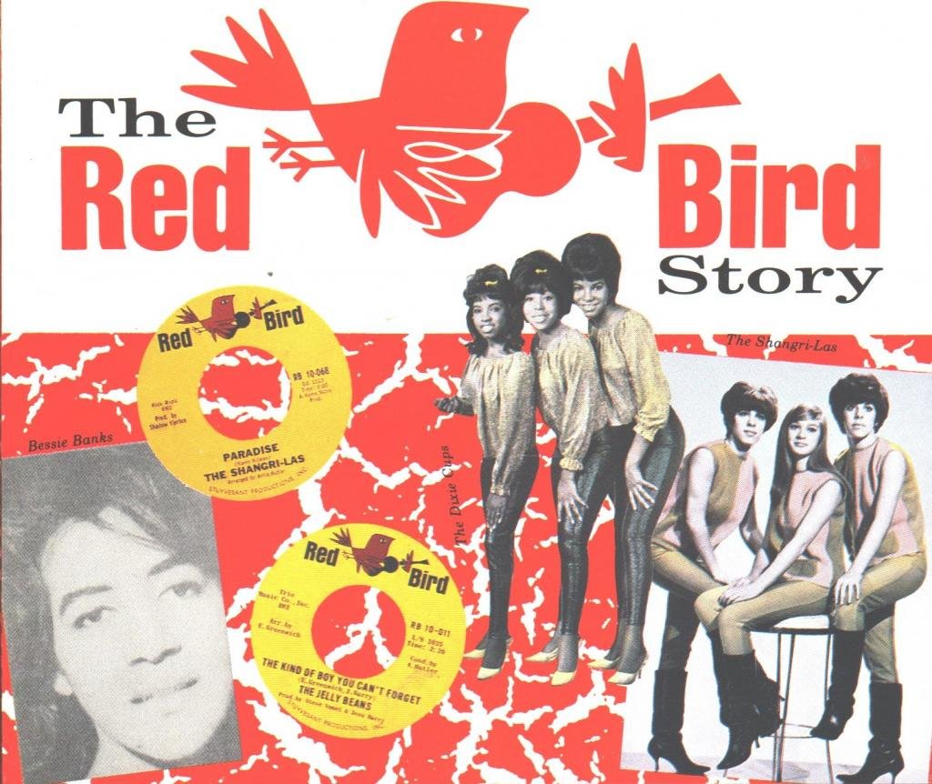 The Red Bird Story - Heartwarming Children's Book About Friendship & Adventure | Perfect for Bedtime Reading, Classroom Storytime & Gift Giving