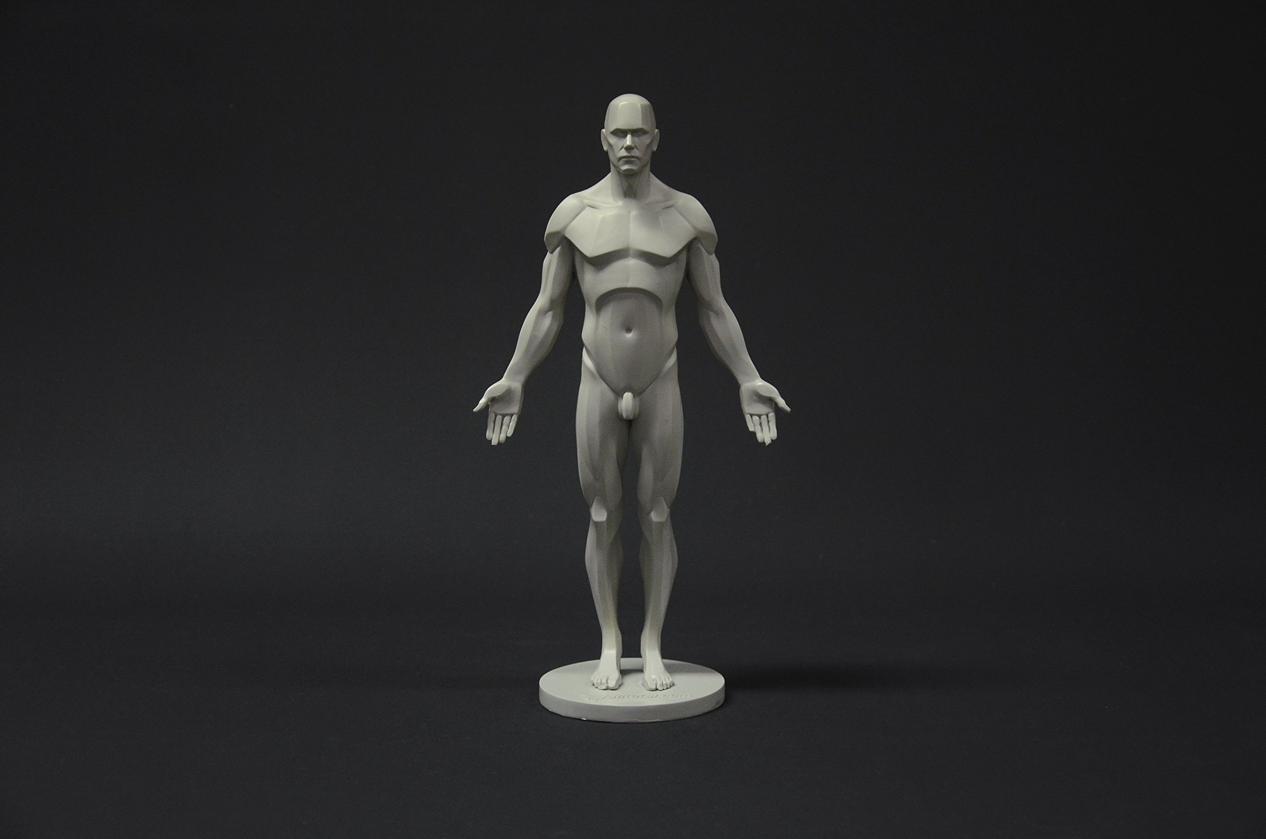 Male Anatomy Figure Collection: Planar, Ecorche & Skin Models - Professional Artist Reference for Human Anatomy Drawing | Perfect for Medical Students, Art Classes & 3D Sculpting