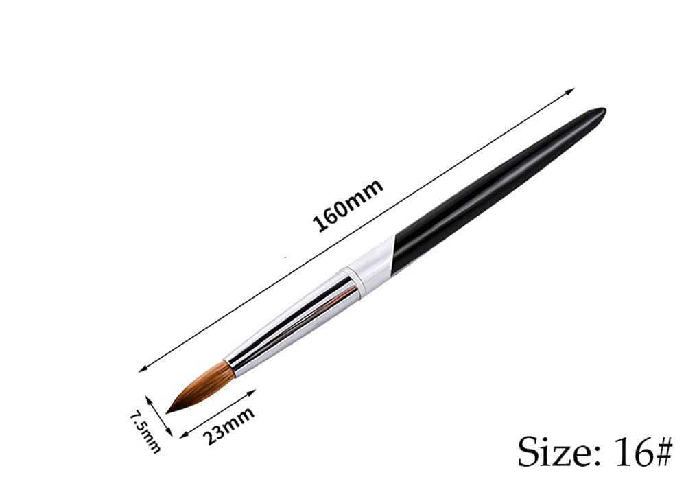 Professional Acrylic Nail Brush Set - 5 Sizes (8/10/12/14/16) for Nail Art, Painting & Builder Gel Application - Perfect for Salon, Home Manicures & DIY Nail Designs