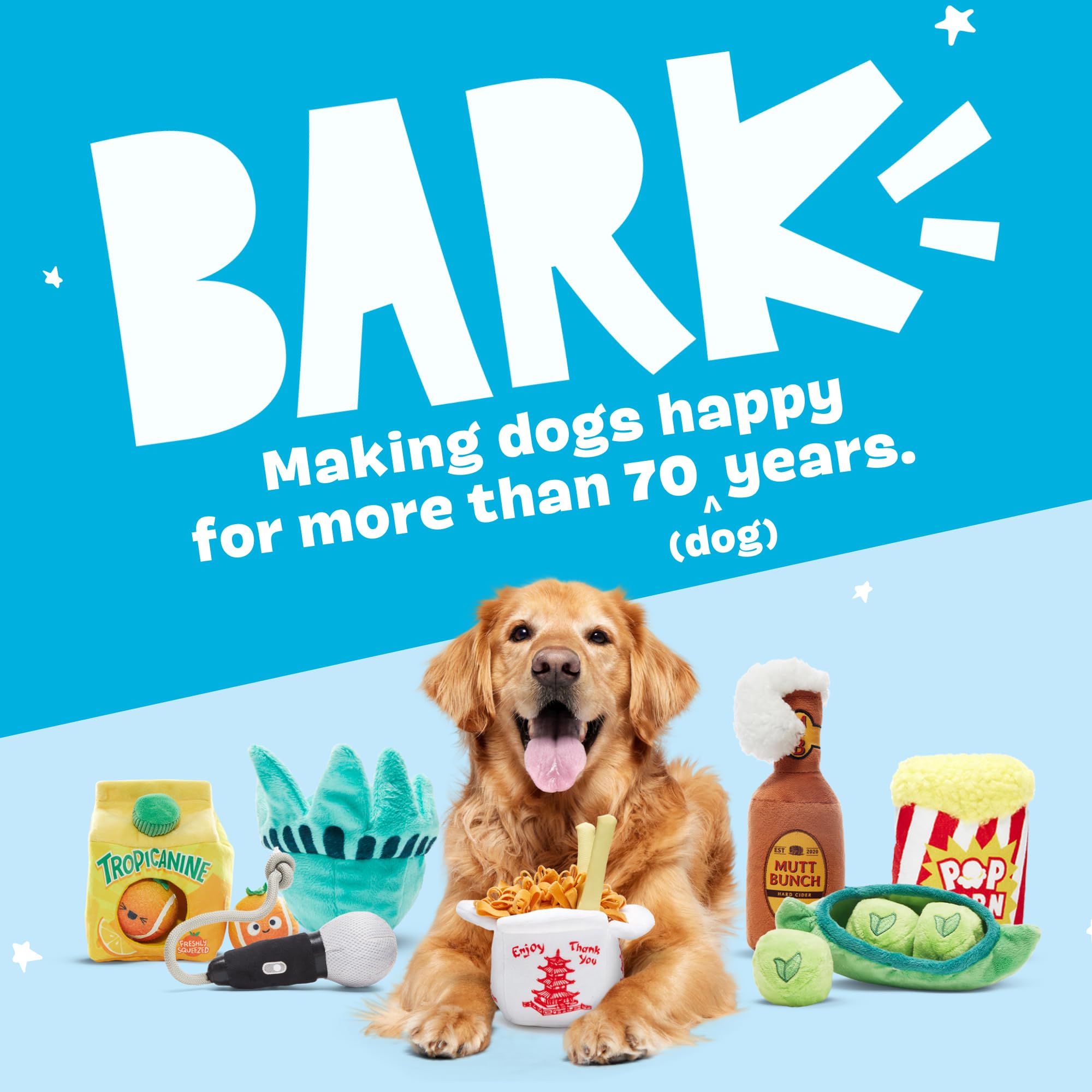 Barkbox Squeaky Dog Toys for Medium to Large Dogs - Durable Plush Chew Toys with Squeaker | Fun Interactive Puppy & Pet Toys | Chow Chow Mein (Large) | Perfect for Playtime, Training & Bonding with Your Dog