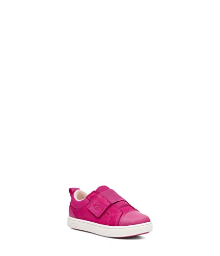 Raspberry Sorbet