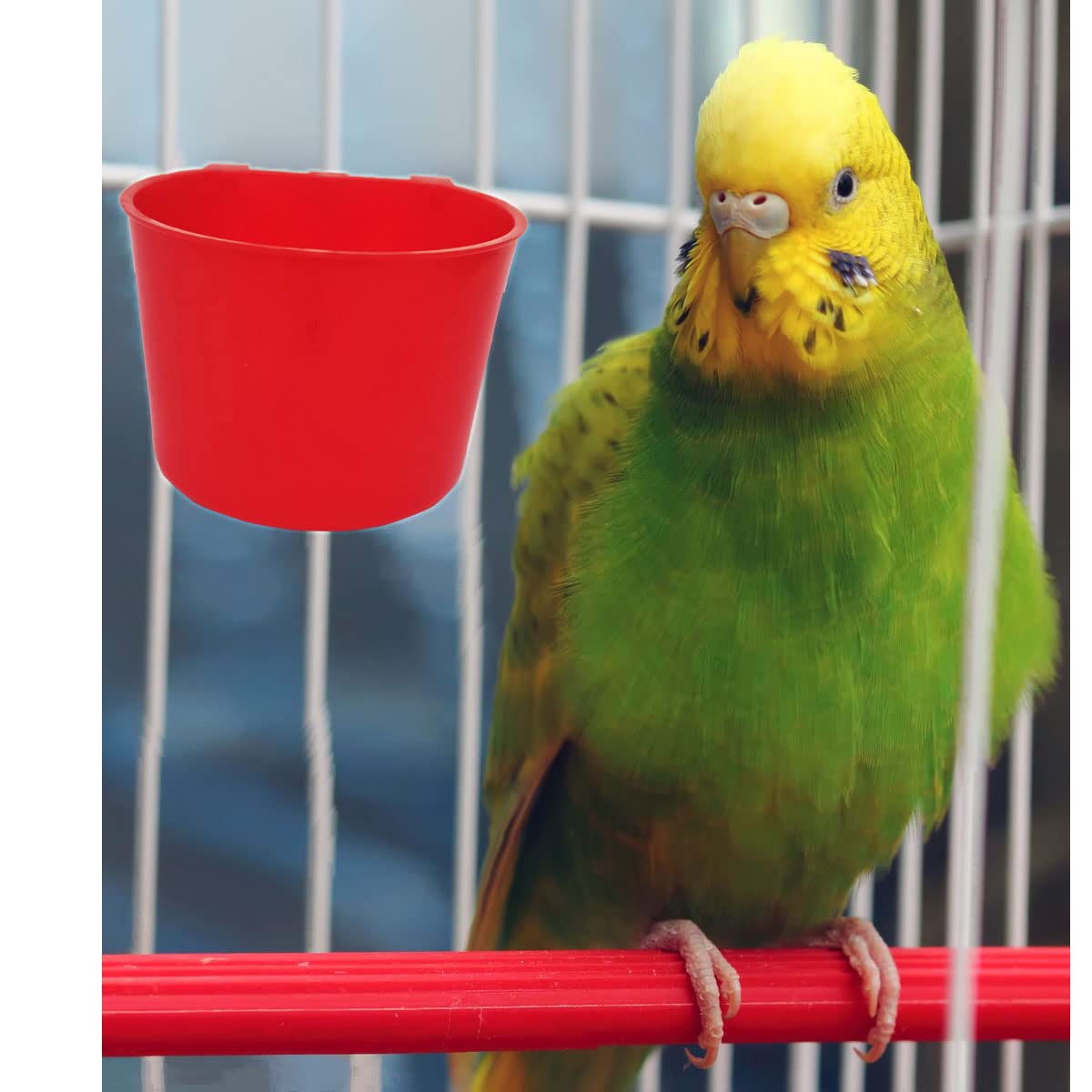 40 Pack Bird Feeders & Water Bowls - 8oz Hanging Cage Cups for Parrots, Chickens, Pigeons & Small Pets - Durable Seed & Water Dishes for Coops, Aviaries & Outdoor Use