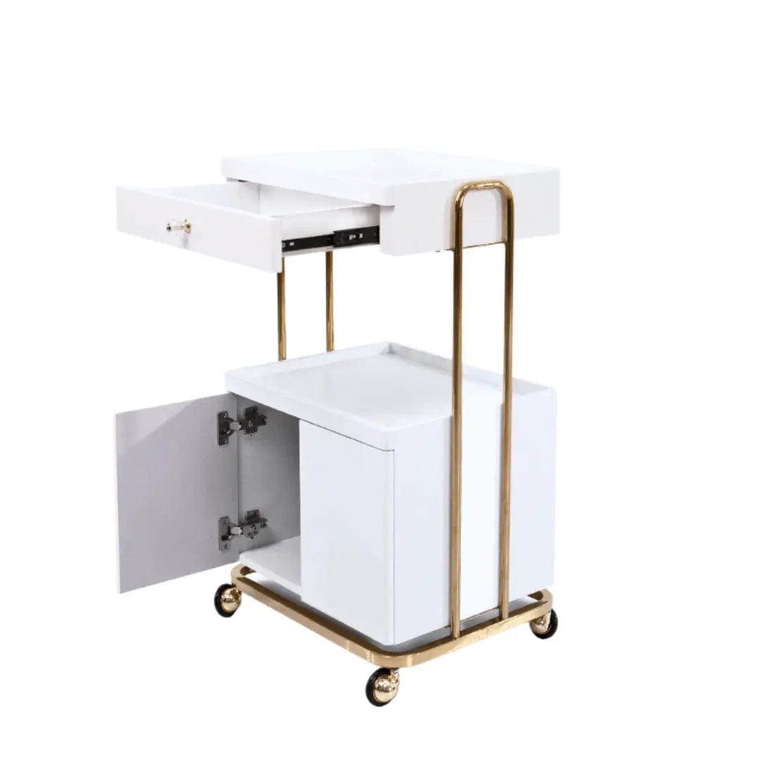 Professional Beauty Salon Rolling Trolley with Double Storage Drawers - Perfect for Hair Styling, Nail Art & Makeup Organization in Salons or Home Use