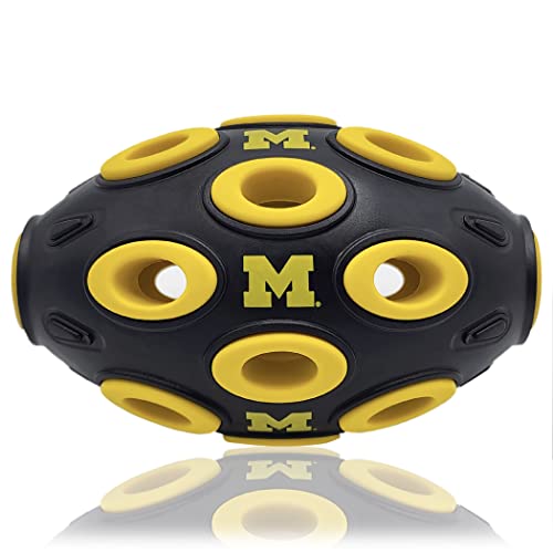 Michigan Wolverines
