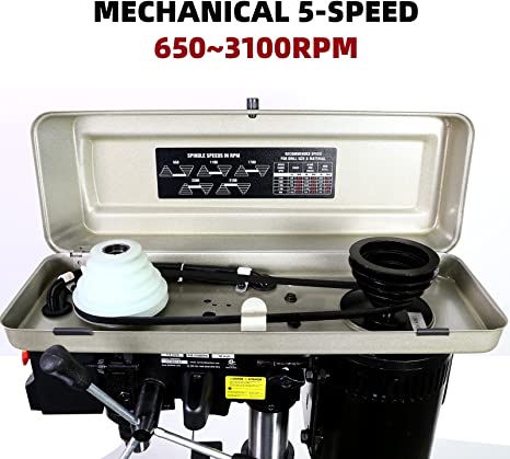 BUCKTOOL 10 Inch 6.2 Amp 3/4 HP Benchtop Drill Press - 5-Speed Adjustable Bench Drill Machine with LED Work Light for Woodworking, Metalworking & DIY Projects
