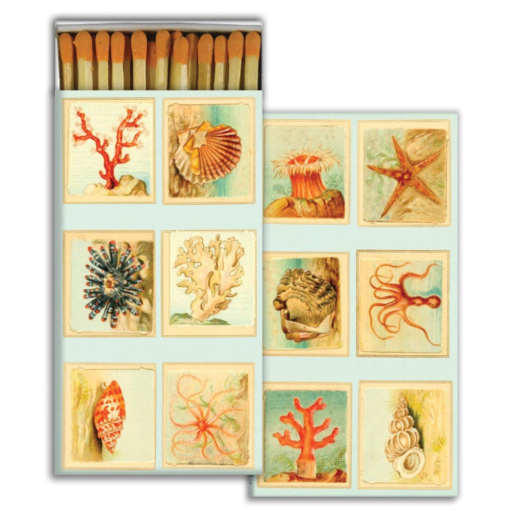 Premium Mollusks, Coral & Sea Stars Box Matches - Unique Ocean-Themed Matches for Beach Parties, Camping & Home Decor