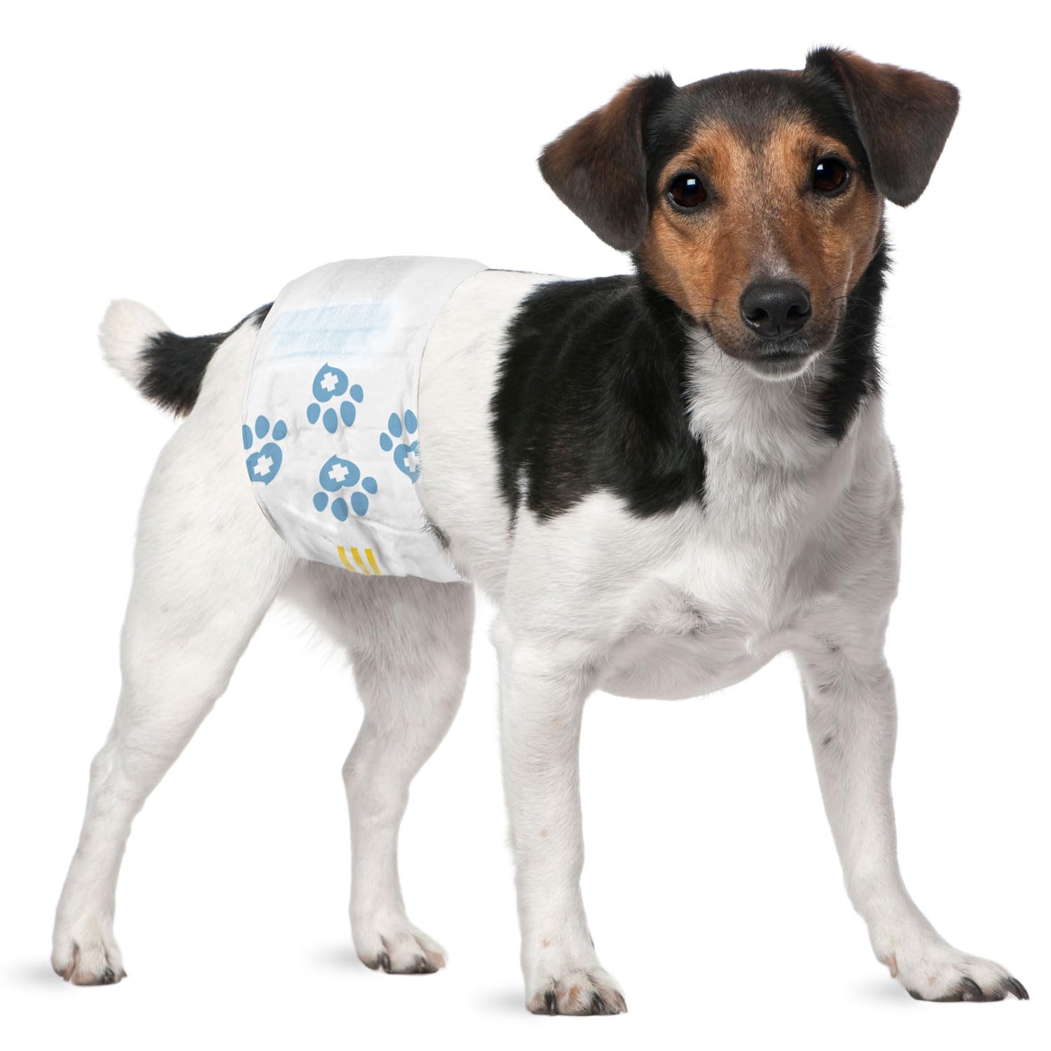 **Disposable Dog Diapers for Male Dogs - Small Size (1-Tab, 576 Count Bulk Pack) - Snag-Free Fasteners, Leak-Proof & Wetness Indicator - Ideal for Incontinence, Training & Travel**