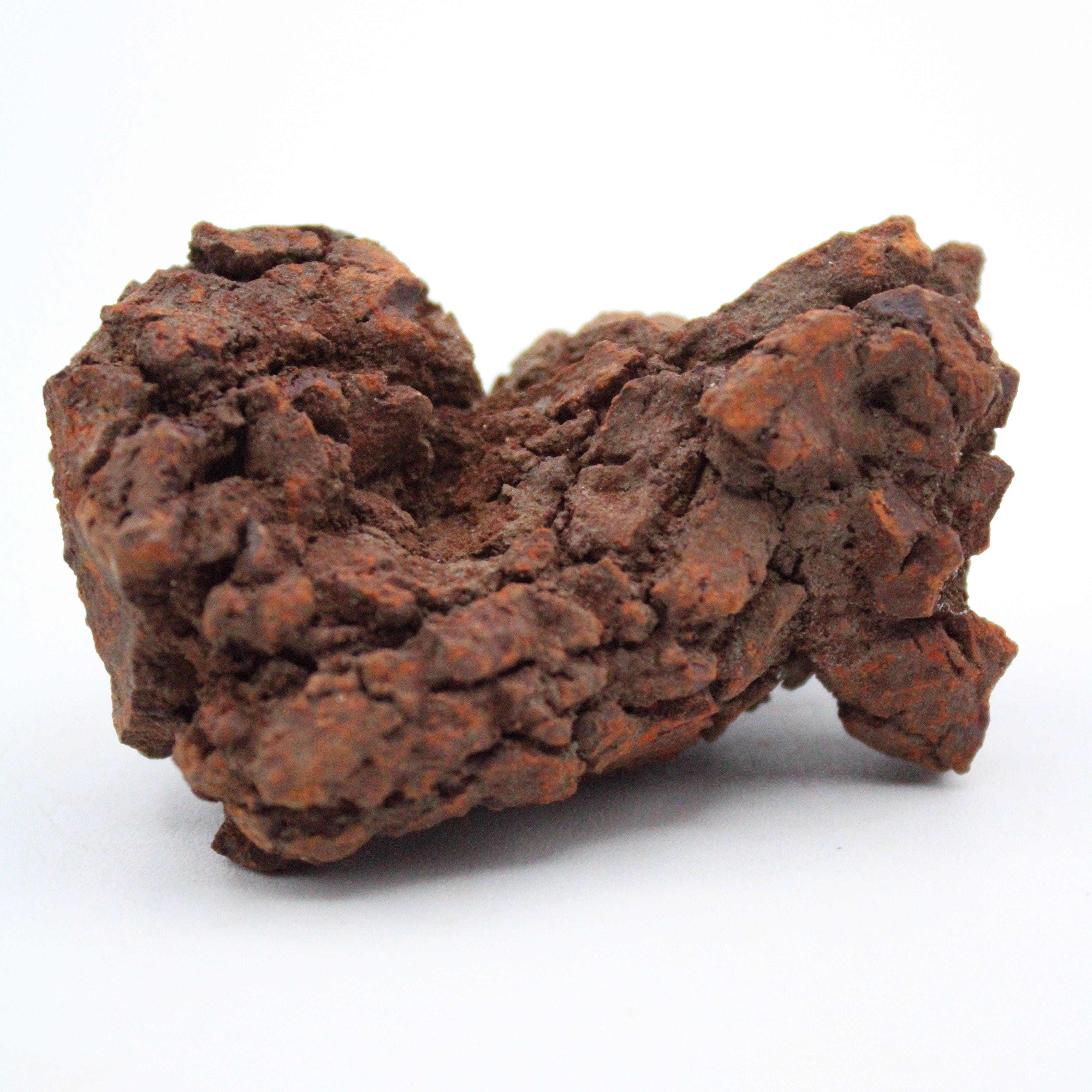 Authentic Coprolite Fossil Specimen - Dinosaur Poop Fossil for Collectors & Science Enthusiasts - Perfect for Educational Displays, Paleontology Gifts & Home Decor