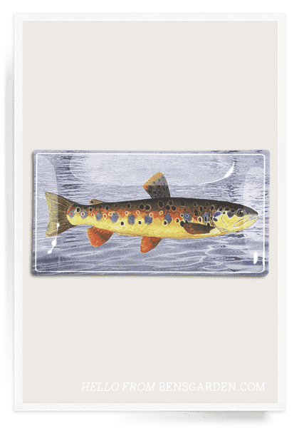 Vintage Fish No. 2 Decoupage Glass Tray - Handmade Art Decor Serving Tray for Coffee Table, Dining, or Gift Giving - Perfect for Home Decor, Tea Parties, and Displaying Collectibles