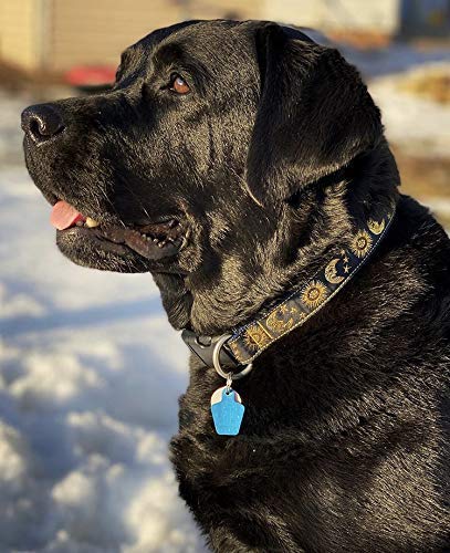 Sun and Moon Dog Collar for Medium to Large Dogs | Handmade in USA | Adjustable Pet Collar for Daily Walks, Training & Outdoor Adventures