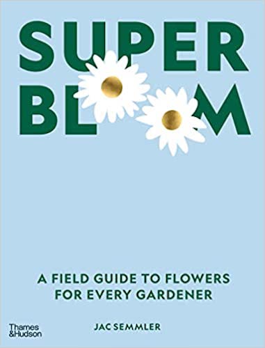 Super Bloom - Premium Organic Skincare for Glowing Skin | Perfect for Daily Hydration & Anti-Aging Routine