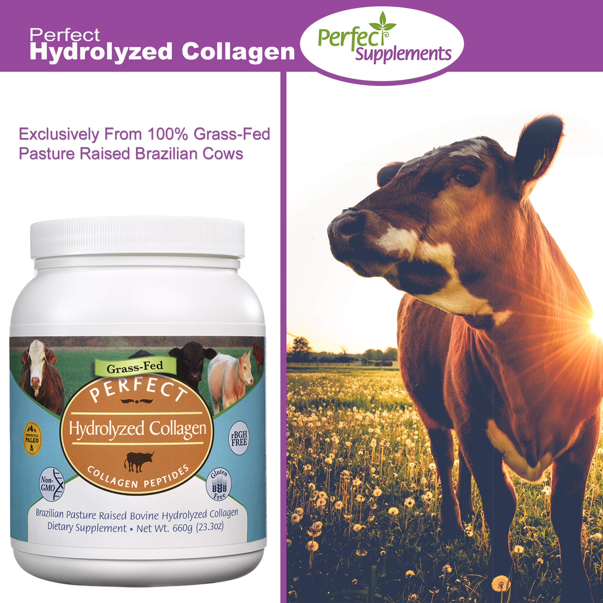 Perfect Hydrolyzed Collagen Powder 660g - All Natural Grass-Fed Collagen Supplement for Skin, Hair & Nails - Brazilian Pasture Raised - 2 Pack - Supports Joint Health & Anti-Aging - Ideal for Smoothies, Coffee & Baking Recipes