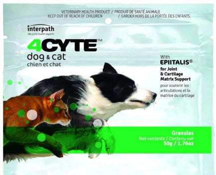 4Cyte Canine & Feline Joint Support Supplement 50g - Dog & Cat Hip & Joint Care for Mobility & Pain Relief - Ideal for Senior Pets & Active Animals