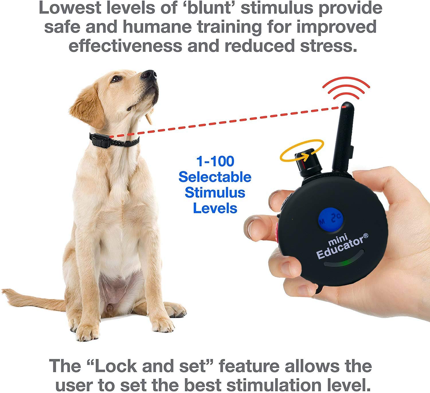 **ET-300/ET-302 Mini Educator E-Collar - 1/2 Mile Remote Dog Training Collar System - Waterproof, Vibration & Static Stimulation Modes - Includes eOutletDeals Pet Towel (2-Dog System, Black) - Perfect for Obedience Training, Bark Control & Off-Leash Adventures**