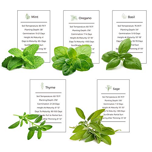 Basil, Mint, Oregano, Sage & Thyme