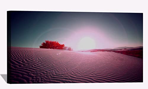 Desert Flare