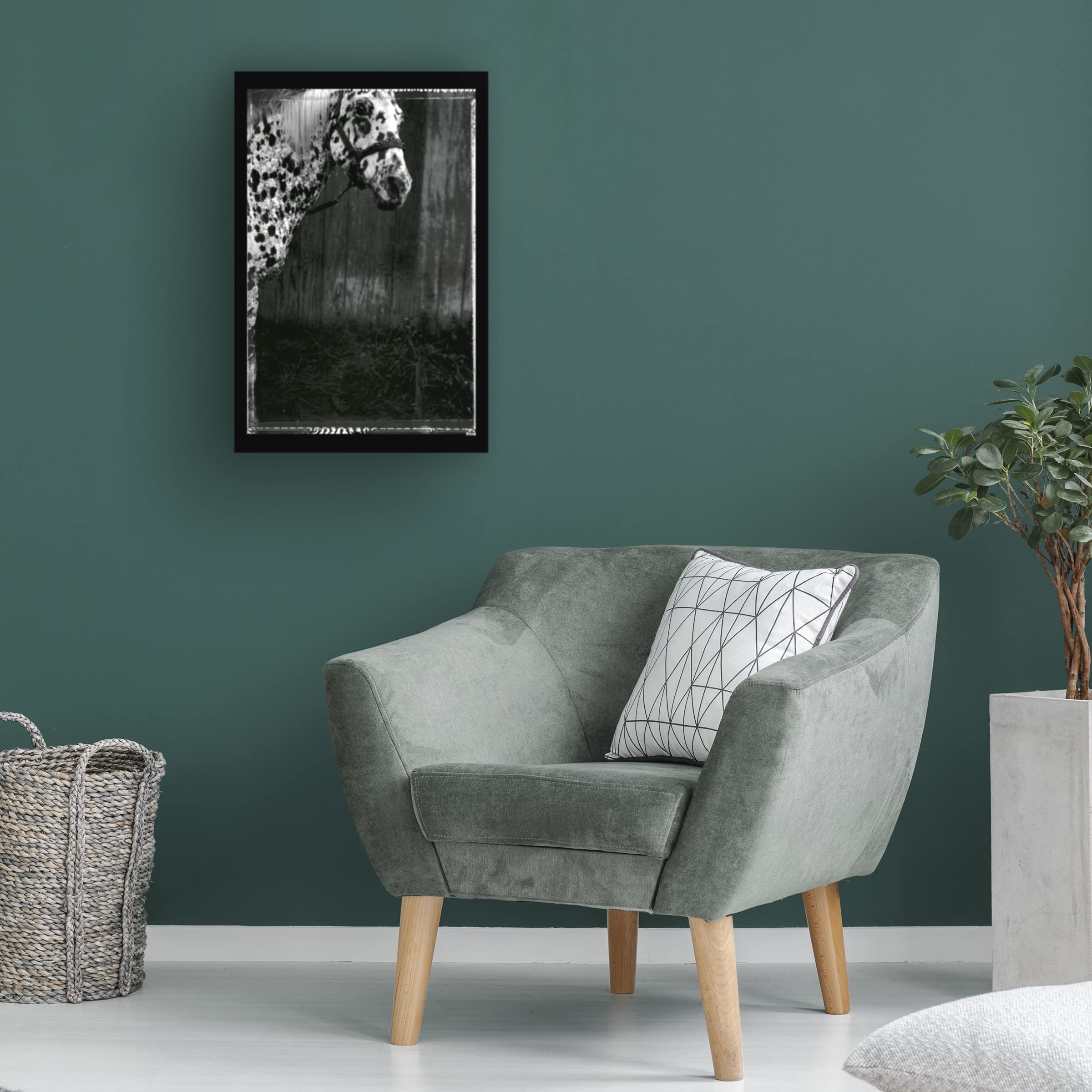 Trademark Fine Art 'Equine Double Take III' Canvas Wall Art by Susan Friedman - Stunning Horse Painting for Living Room, Bedroom & Office Decor