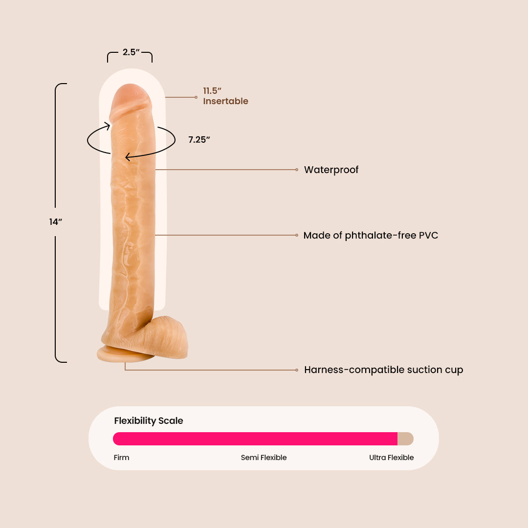 Hung Rider Bruno - 14 Inch Realistic Dildo for Men & Women | Lifelike Silicone Adult Toy for Couples Play, Solo Pleasure & BDSM Scenes