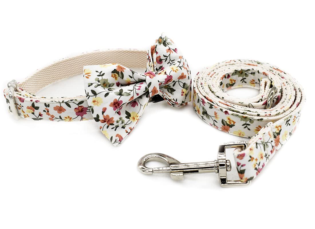 Personalized Dog Collar with Name & Phone Engraving - for Small to Large Pets - Perfect for Walks & ID Safety