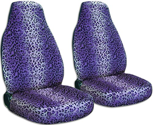 Purple Leopard