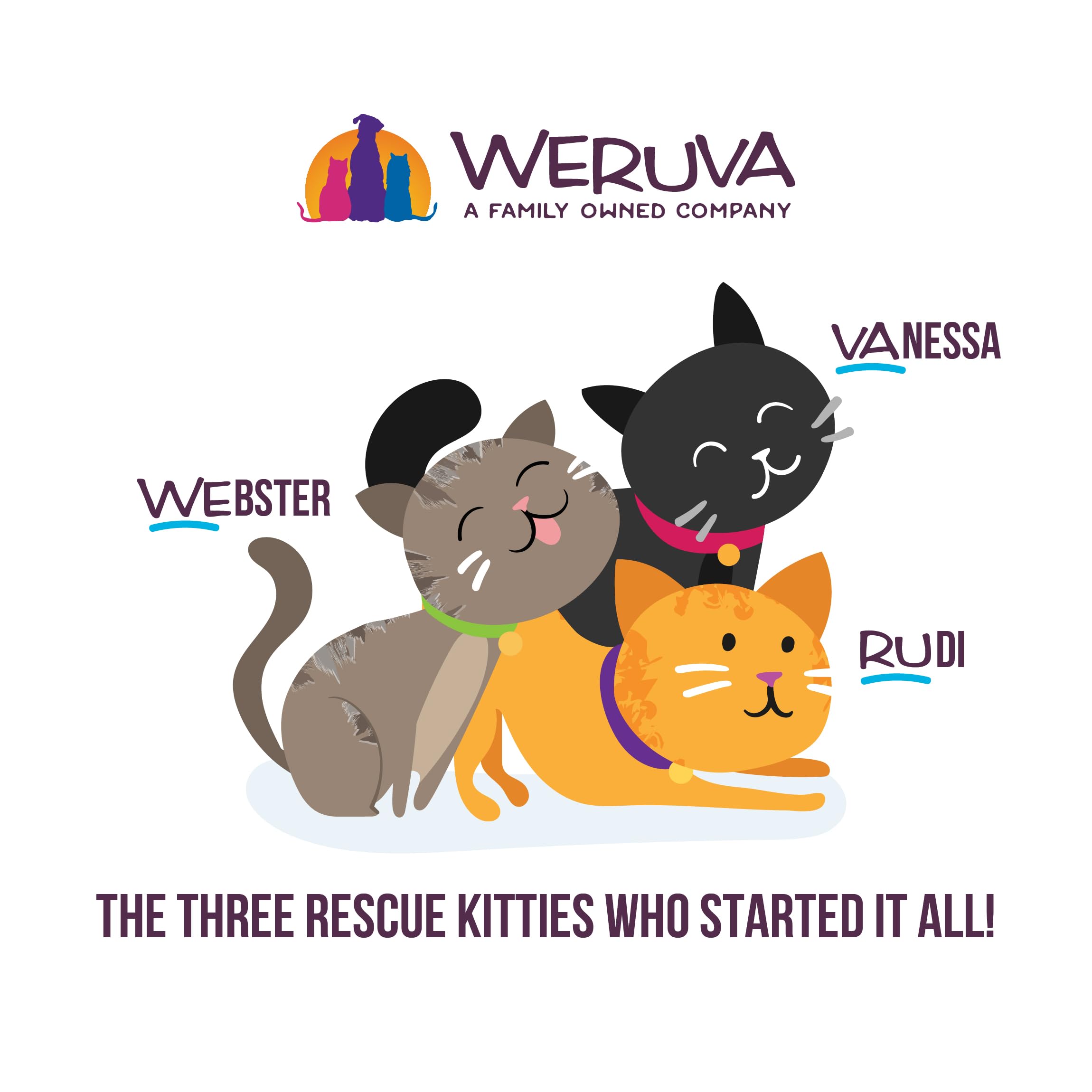 Weruva Cats in The Kitchen Wet Cat Food Variety Pack - Grain-Free, Natural Ingredients, 10oz Cans (Pack of 12) - Perfect for Picky Eaters & Indoor Cats