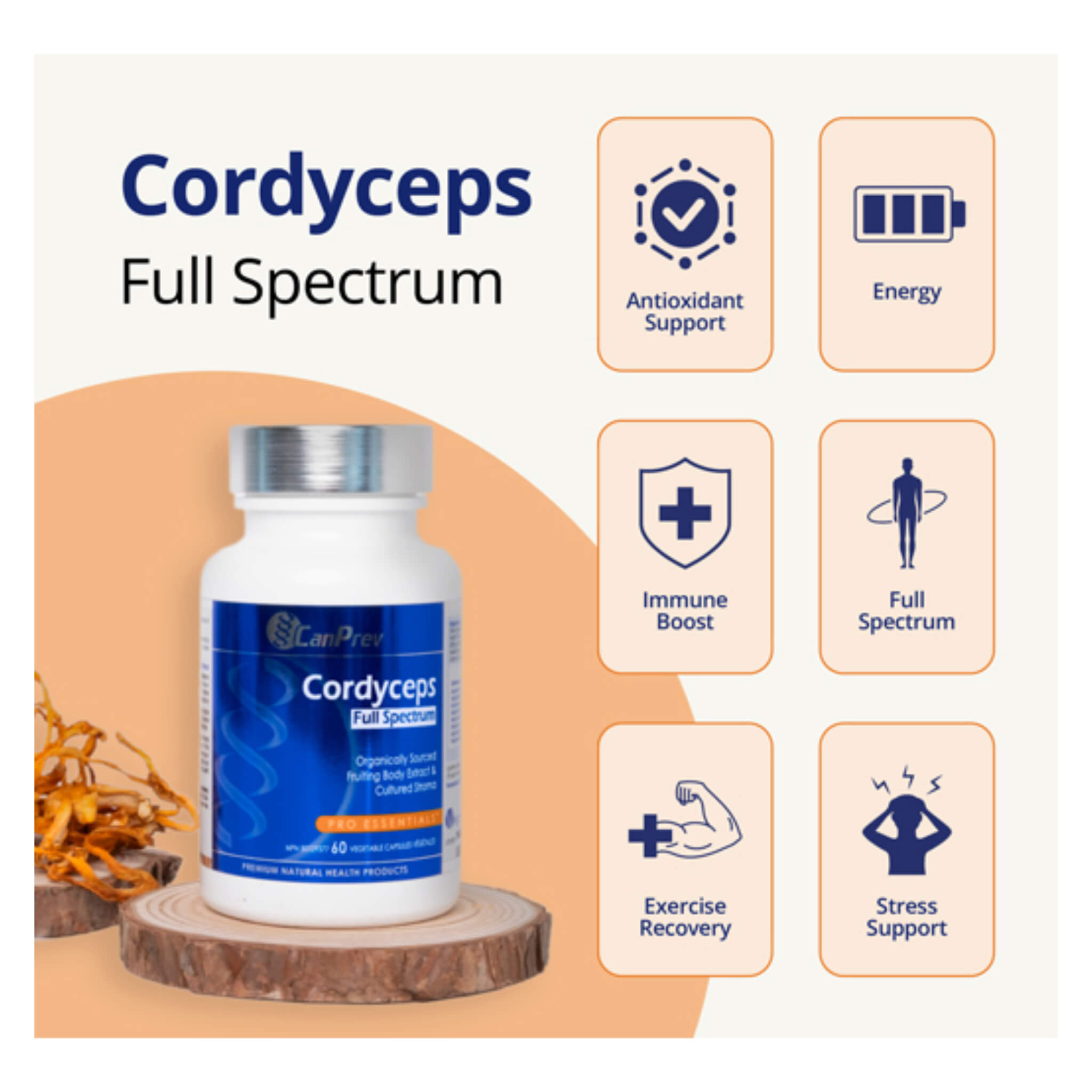 Premium Cordyceps Militaris Full Spectrum Extract - Immune Support & Energy Booster for Athletes, Fitness Enthusiasts & Wellness Seekers | Natural Supplement for Stamina, Recovery & Overall Vitality