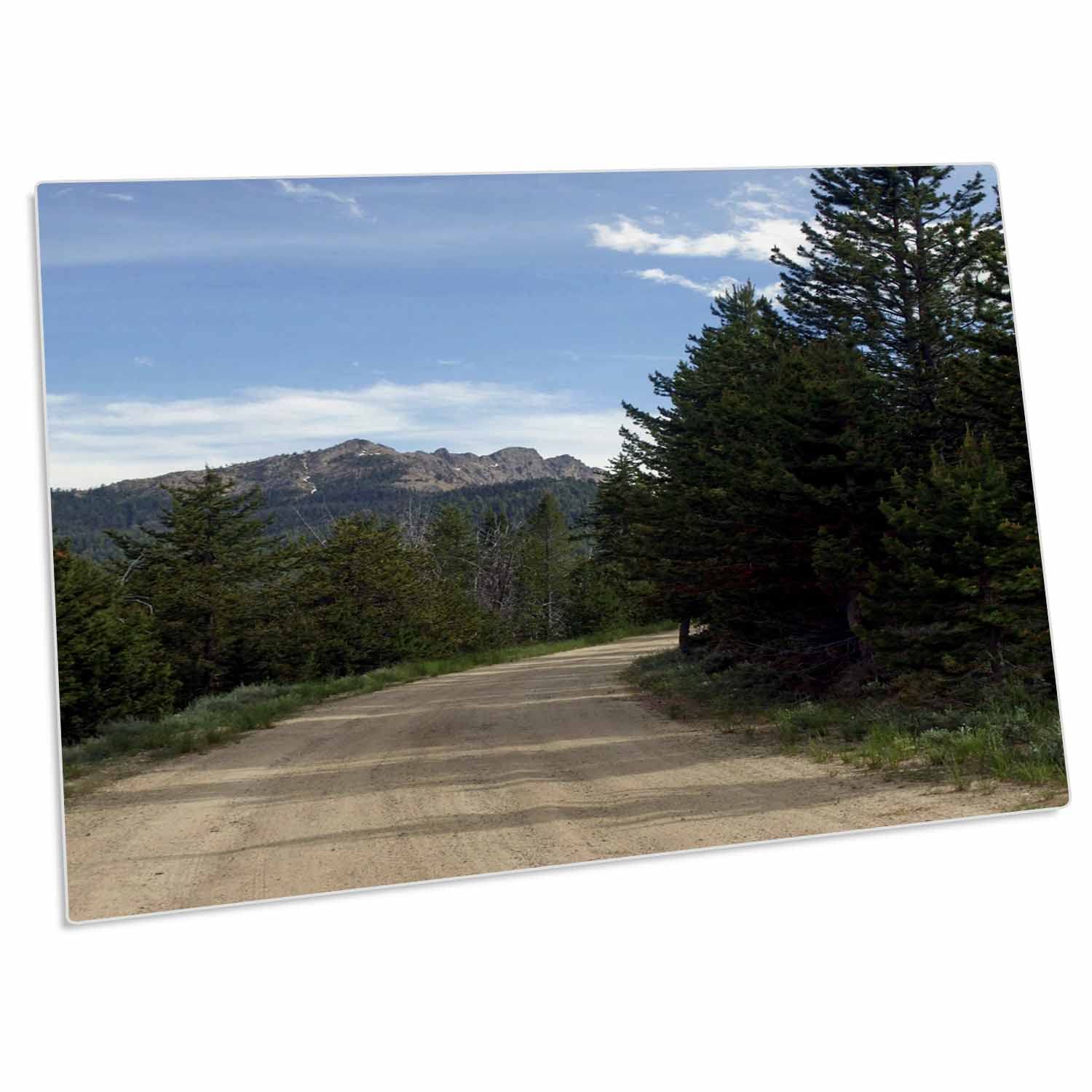 3dRose Curved Mountain Road Scenic Photo Desk Pad Place Mats Set of 4 - Non-Slip Table Protector for Dining, Office, or Home Decor (dpd-251735-1)