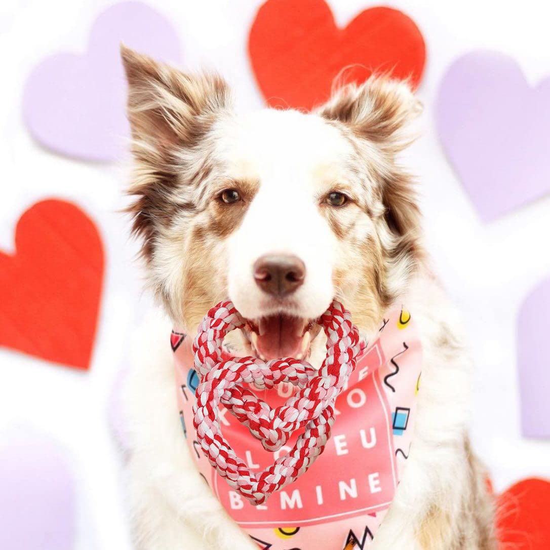 BoomBone Valentine's Day Dog Toy - Interlocking Heart Rope Chew Toy for Small & Medium Dogs - Perfect for Playtime, Training & Bonding with Your Pet