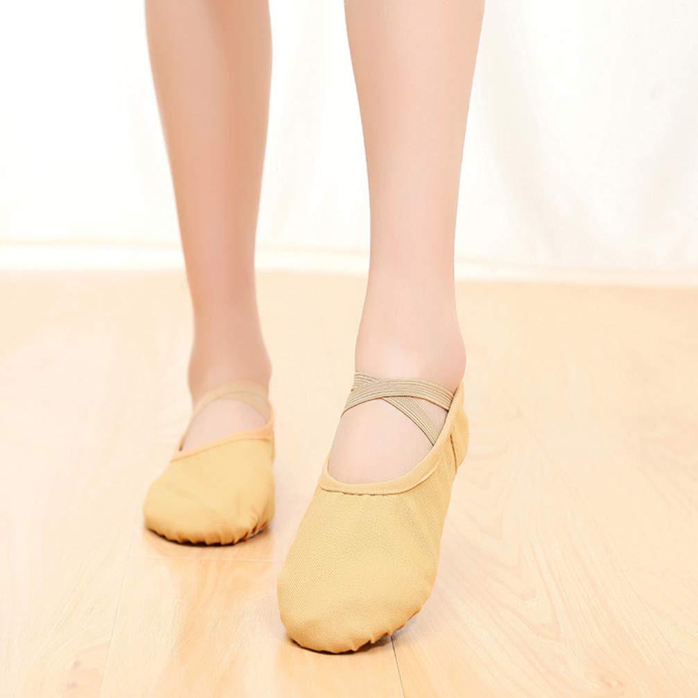 Healifty 1 Pair Professional Ballet Dance Shoes - Lightweight & Flexible for Ballet, Jazz, Contemporary Dance Practice & Performances