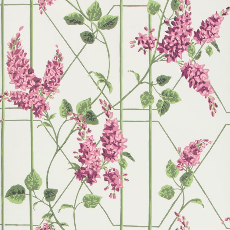 Cole & Son Wisteria Wallpaper - Magenta Green Floral Print (115/5013) for Living Room, Bedroom & Home Decor