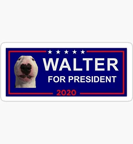 Walter The Dog for President Sticker - Waterproof Vinyl Decal for Cars, Trucks, Laptops, Windows & Walls - Funny Political Campaign Decor for Pet Lovers & Humor Fans