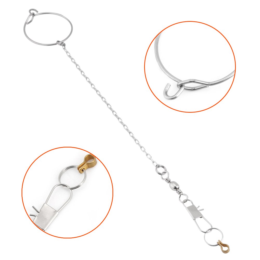Fdit Stainless Steel Anklet & Ring Toy Set for Pet Parrots - 5.5mm Silver Foot Chain Accessories - Perfect for Training, Playtime & Bird Enrichment Activities