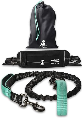 Premium Teal