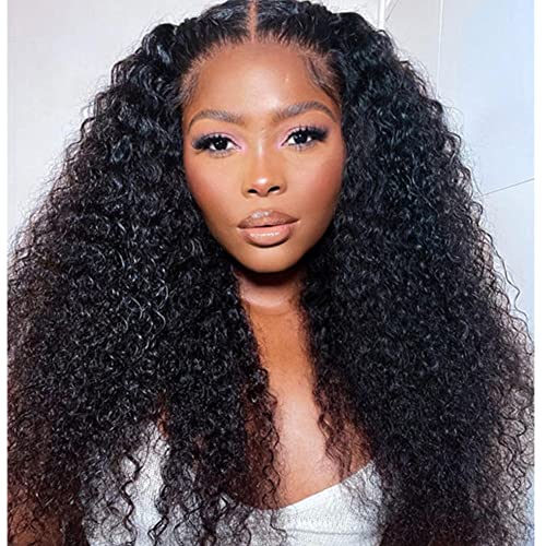 13x4 Transparent HD Lace Front Human Hair Wig - 180% Density Pre-Plucked Curly Virgin Hair for Black Women | 24 Inch Wet & Wavy Natural Look | Perfect for Daily Wear, Parties & Special Occasions