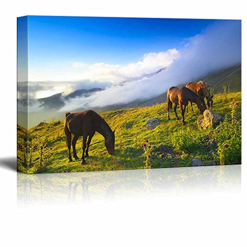 Horses