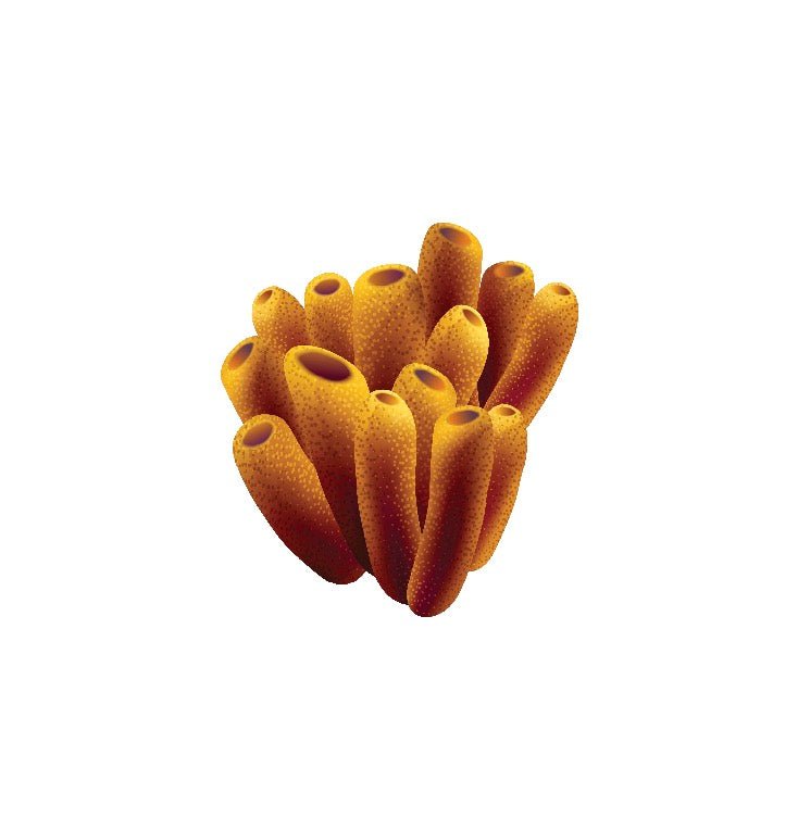 Premium Seaweed and Coral Wall Decals - Self-Adhesive Underwater Themed Stickers for Home, Office, and Kids Room Decor