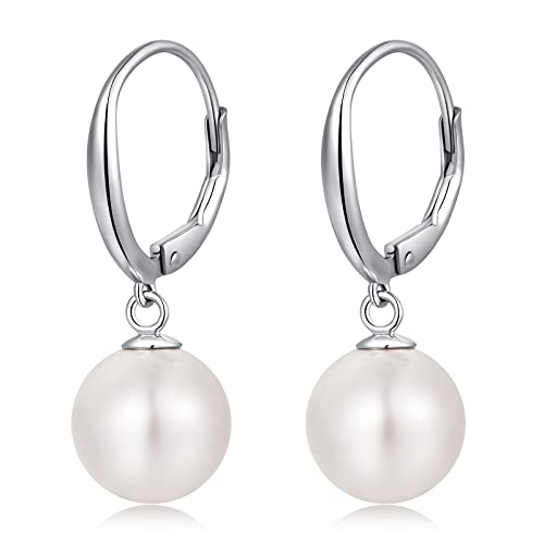 C1-silver-leverback