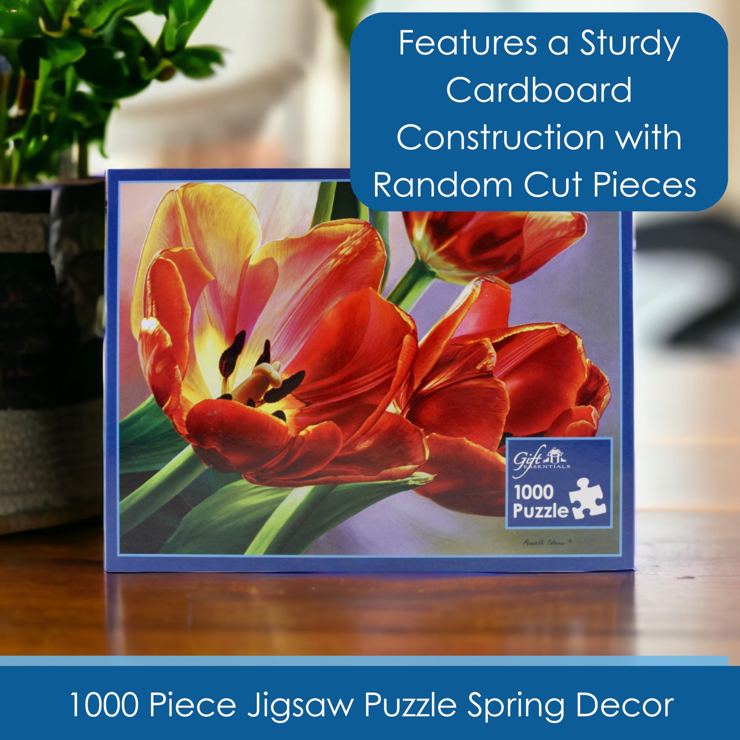 1000 Piece Tulips in Spring Jigsaw Puzzle for Adults & Kids - Challenging Family Game Night Activity, Home Decor & Relaxation Gift Idea