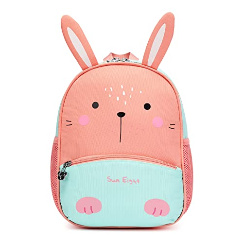 Rabbit C