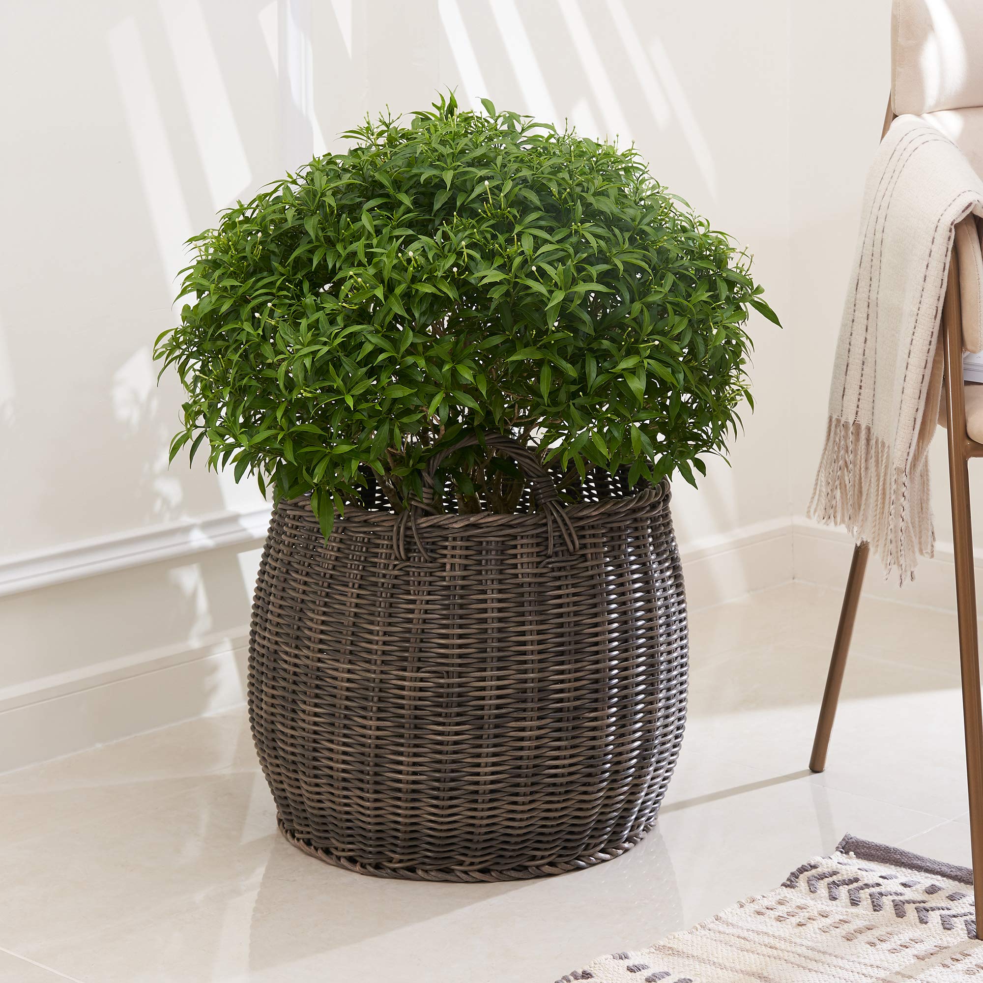VIFAH Valeria 18-Inch Round Resin Planter & Laundry Basket with Handles - Large Size, Gray-Brown - Perfect for Indoor Plants, Bathroom Storage & Home Organization