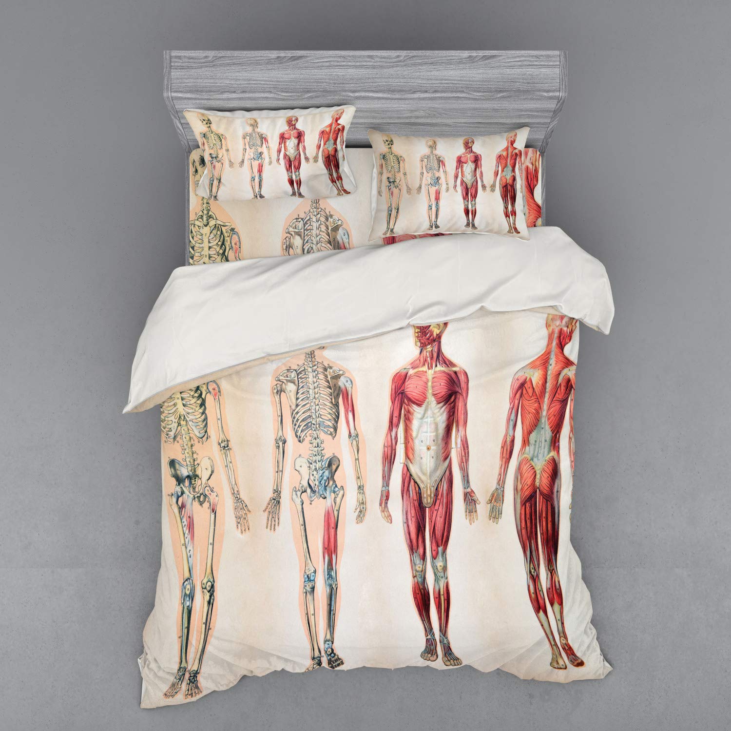 Ambesonne Vintage Human Anatomy Duvet Cover Set - 4 Piece Queen Size with Shams & Fitted Sheet - Front/Back Skeleton & Muscle System Bone Mass Design in Ruby Cream - Perfect for Medical Students, Science Lovers & Unique Home Decor
