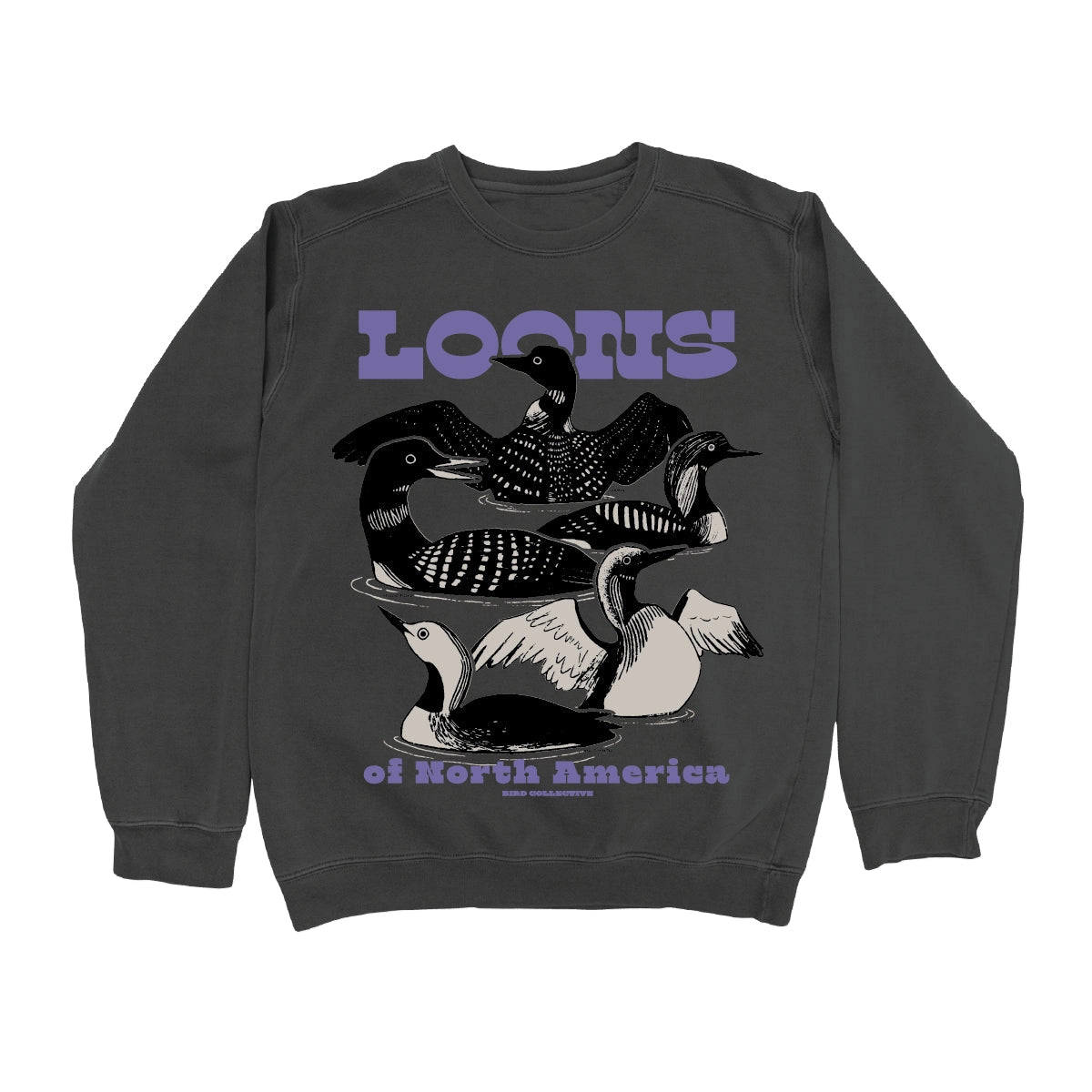 North America Loons Sweatshirt - Charcoal Grey | Comfortable & Stylish Pullover for Birdwatching, Outdoor Adventures & Casual Wear