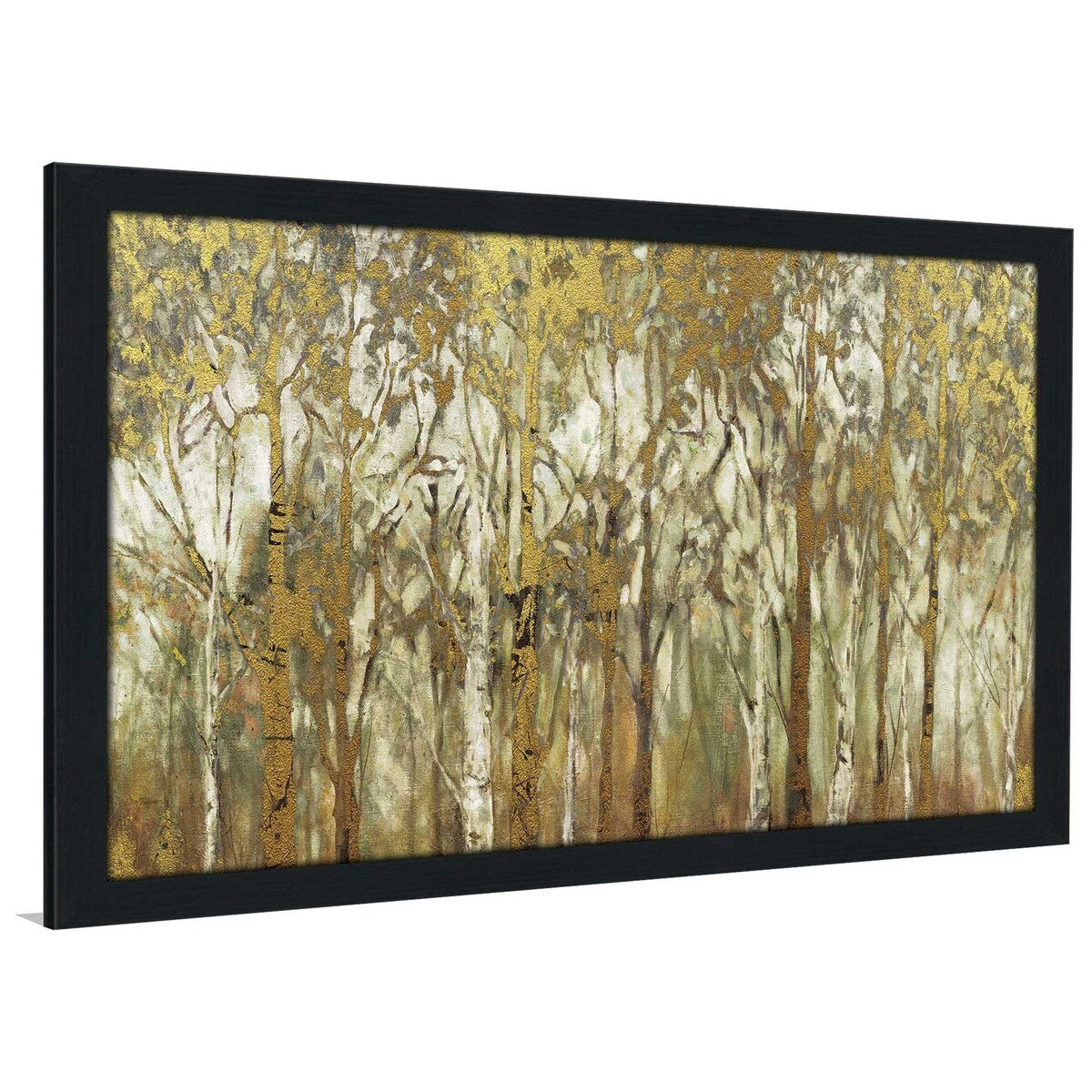Birch Grove Panoramic by Carol Robinson - Stunning Acrylic Wall Art Print for Home & Office Decor - Perfect for Living Room, Bedroom, or Office Spaces