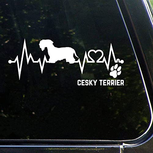 Cesky Terrier