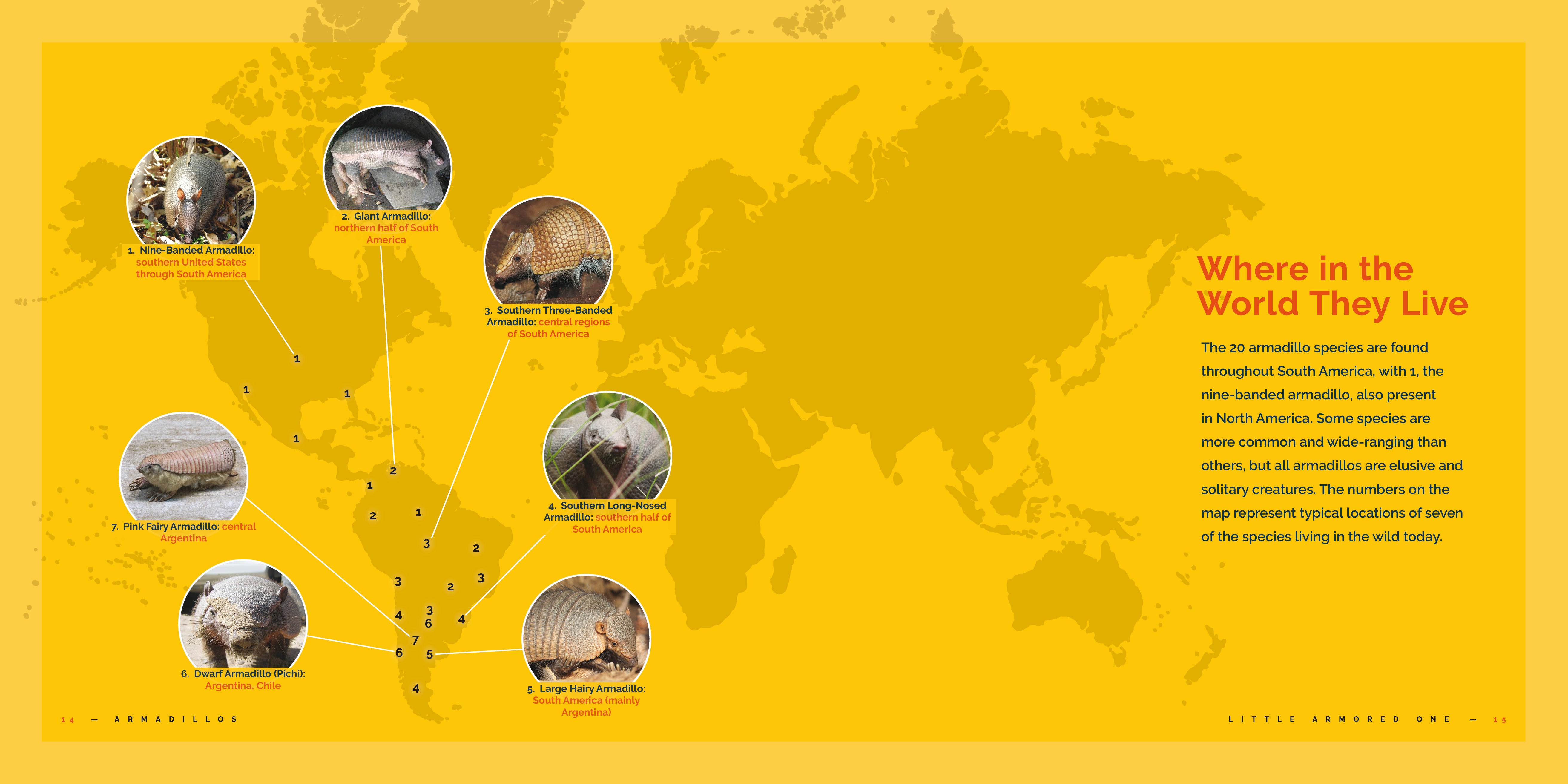 Armadillos Book 9781640267718 - Learn About Armadillos Facts, Habitats & Behavior - Perfect for Animal Lovers, Science Projects & Nature Education