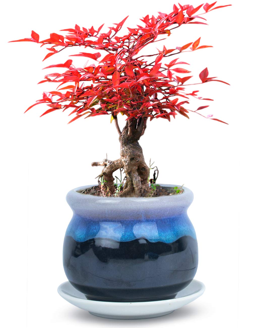 3.3 Inch Ceramic Succulent Planter with Drainage Hole - Blue Drip Glazed Flower Pot with Detachable Saucer - Perfect for Indoor Plants, Home Decor, Office Desk & Gift Ideas